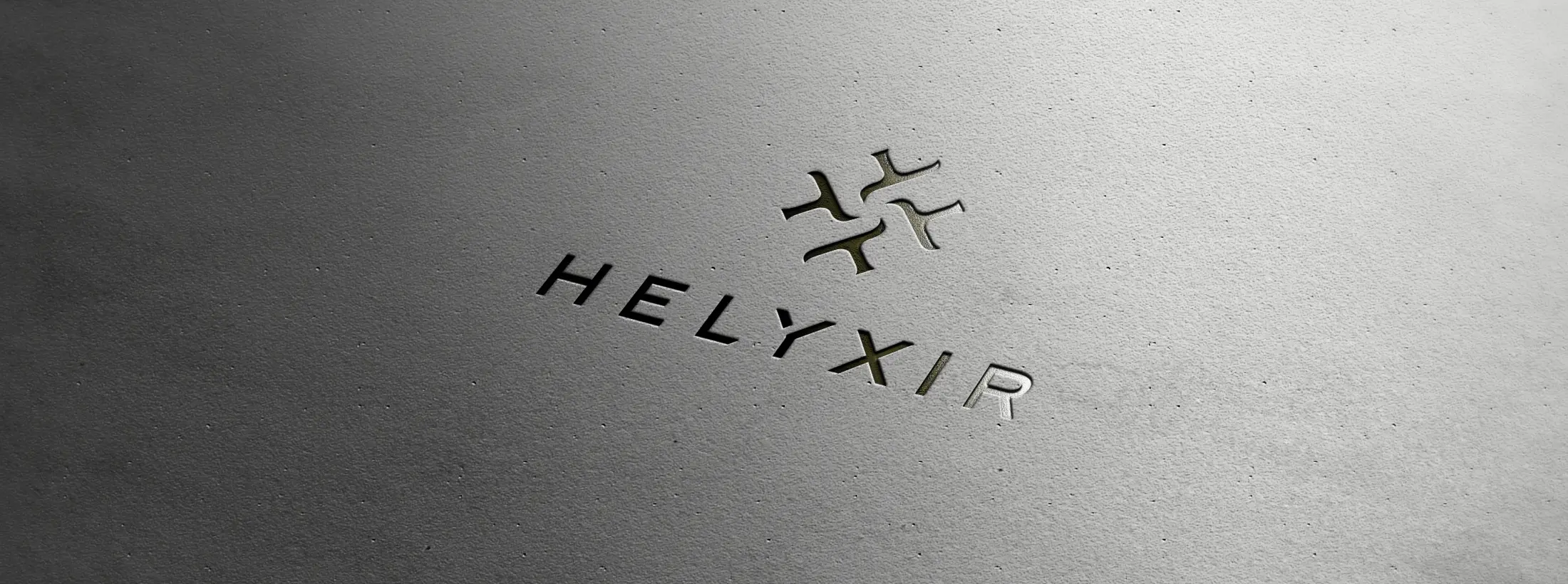 logo helyxir branding design phone identite visuelle osb communication