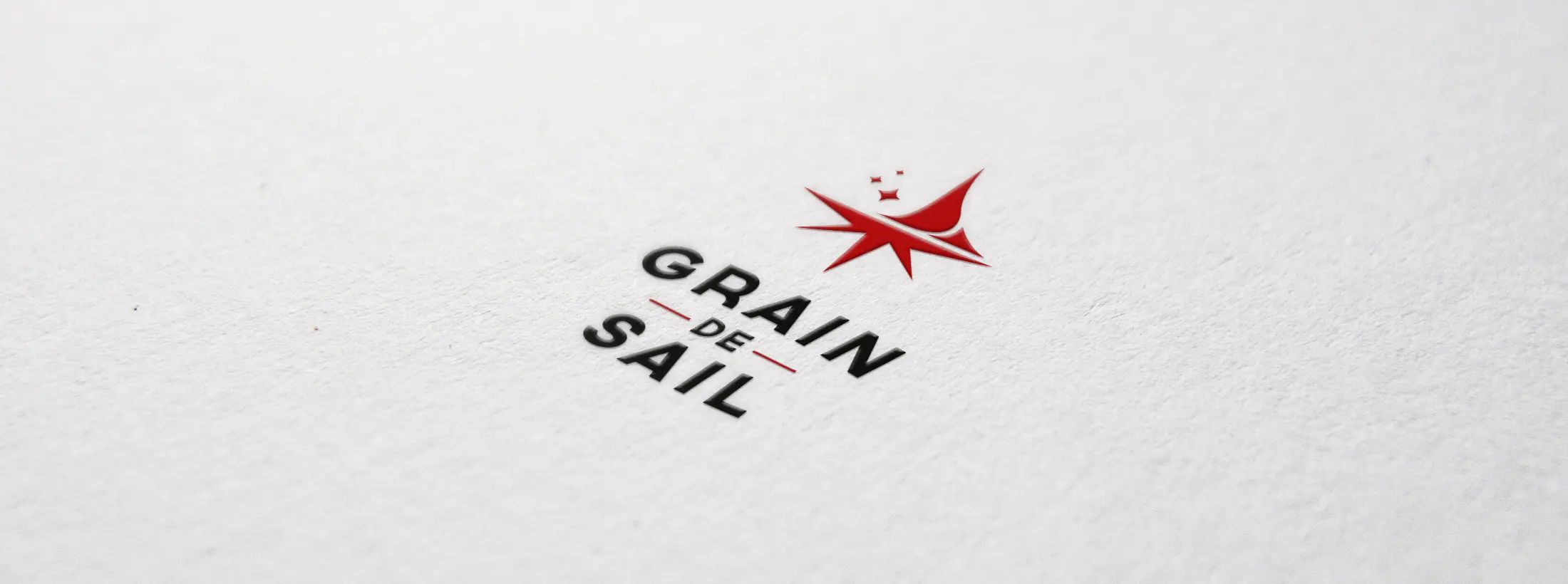 logo grain de sail branding phone identite visuelle osb communication